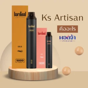 KS ARTISAN 5000 Puffs