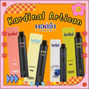 Kardinal Artisan 5000 Puff