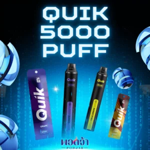 quik 5000 puff